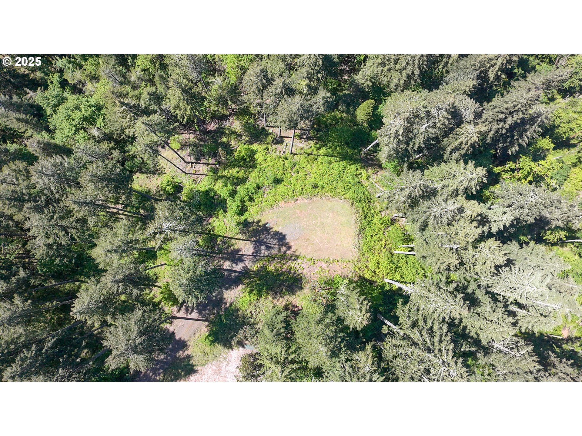 Alder Branch Road Springfield, OR 97478 - Photo 3 of 12 a view of a city