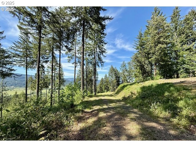 Alder Branch Road Springfield, OR 97478 - Photo 4 of 12 a view of outdoor space and trees