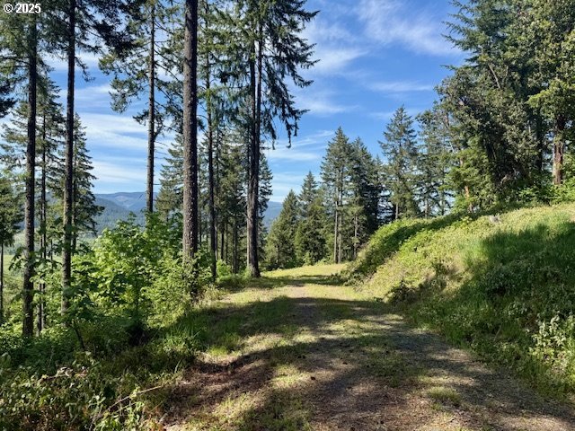 Alder Branch Road Springfield, OR 97478 - Photo 6 of 12 a view of outdoor space and trees all around