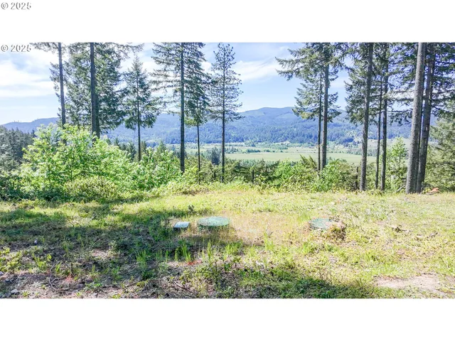 a black and white photo of a road