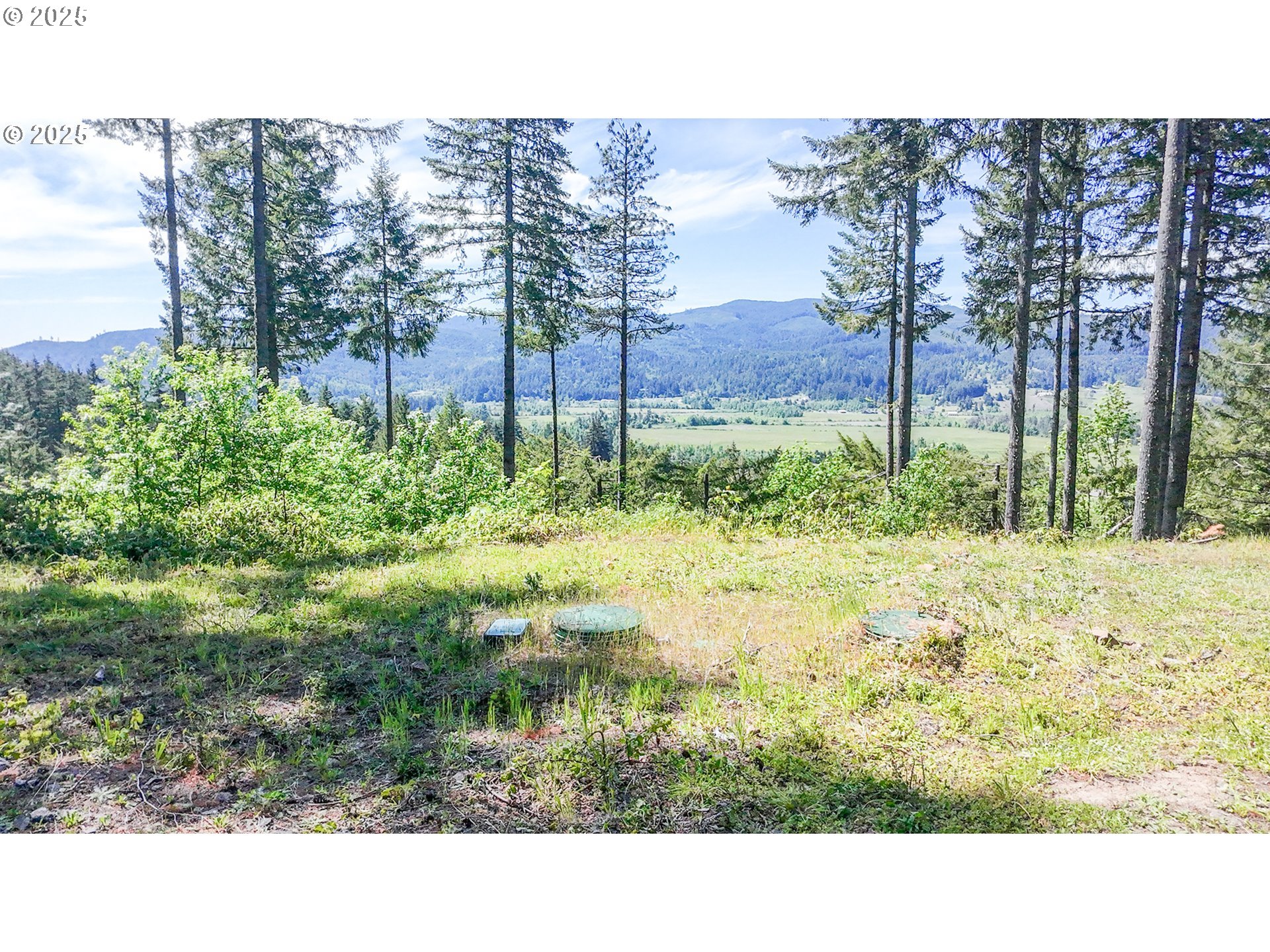 Alder Branch Road Springfield, OR 97478 - Photo 7 of 12 a black and white photo of a road