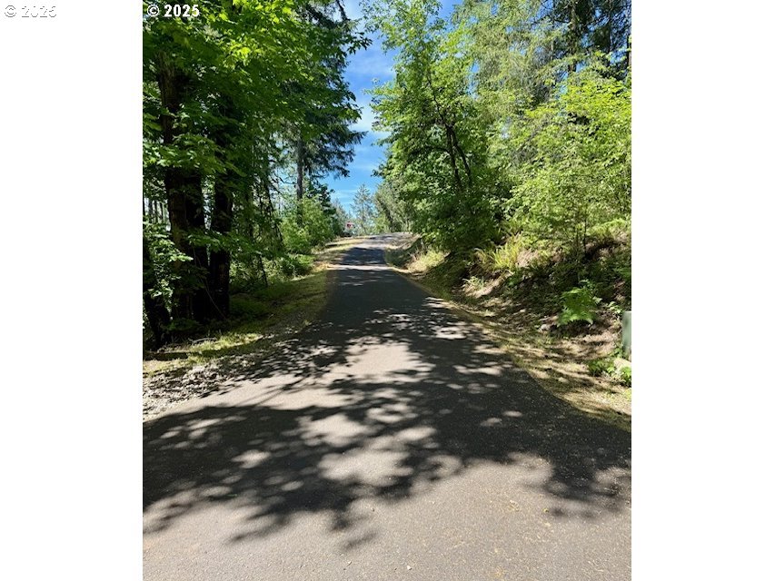 Alder Branch Road Springfield, OR 97478 - Photo 9 of 12 a view of a tree with a yard