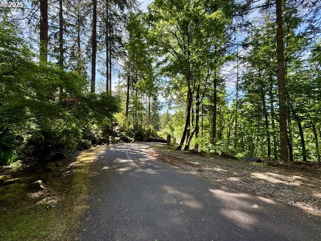 Alder Branch Road Springfield, OR 97478 - Photo 10 of 12 a view of a field with trees in the background