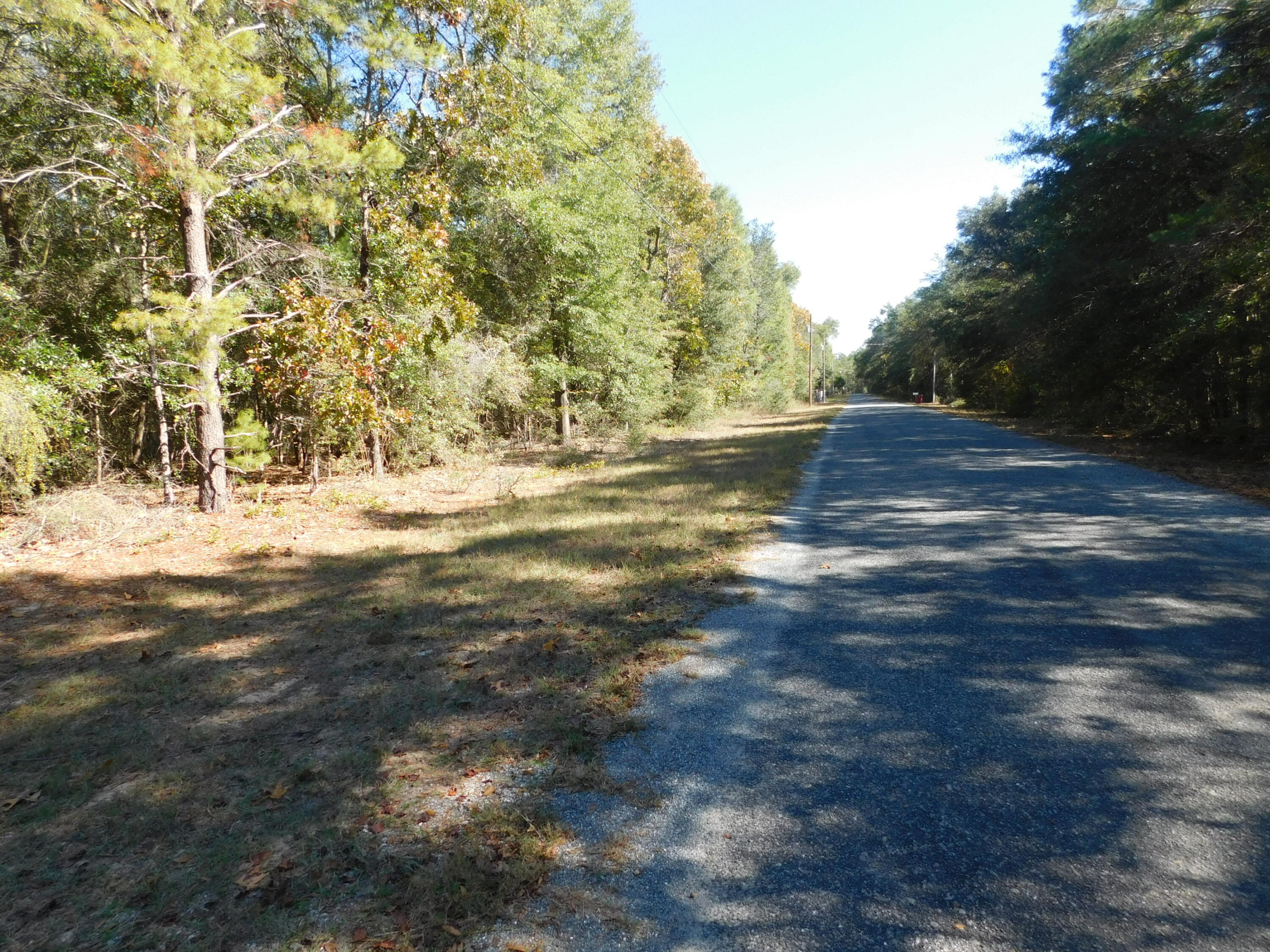 0 Batten Road Crestview, FL 32539 - Photo 1 of 12 a view of dirt field with trees around