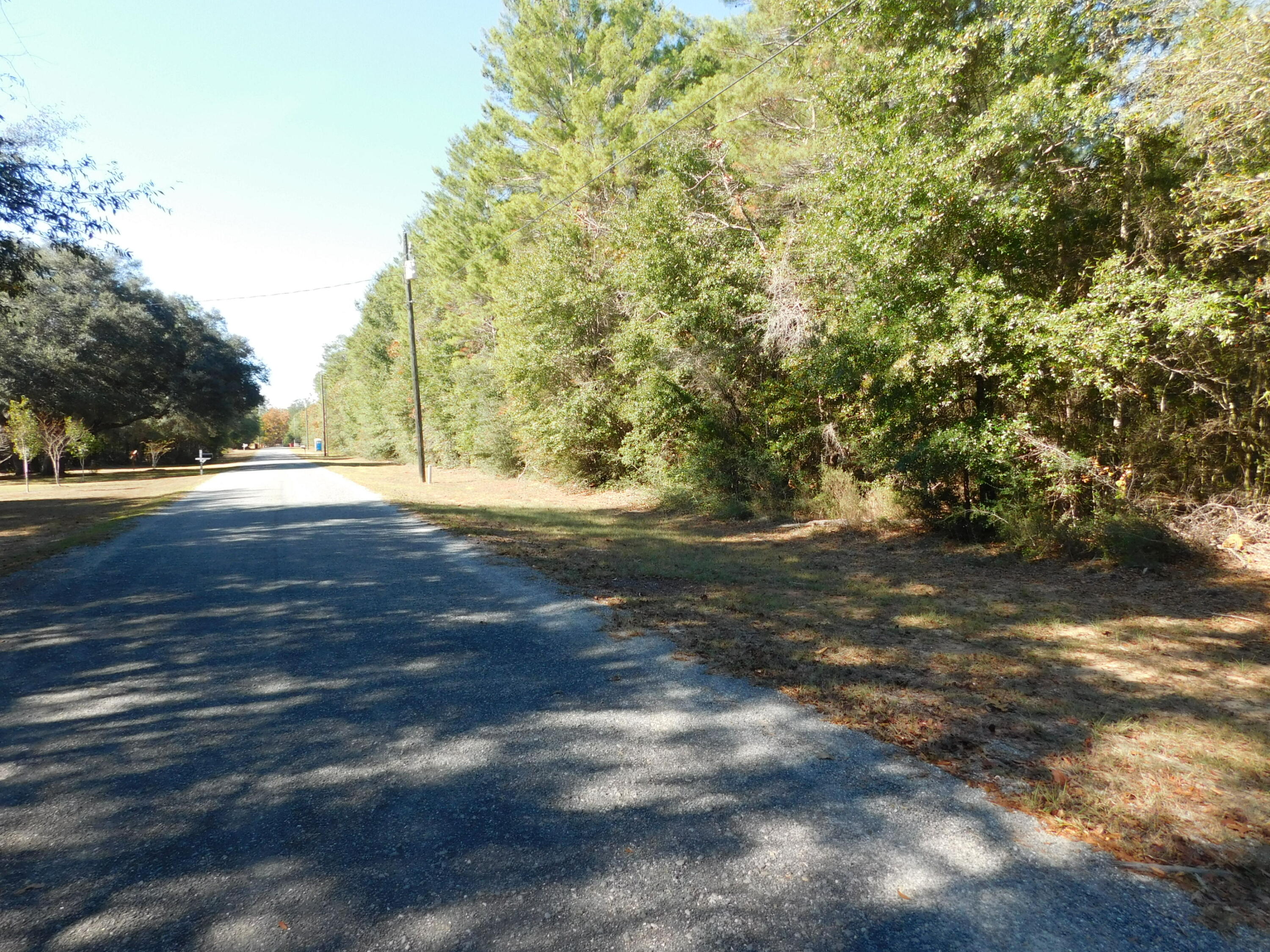 0 Batten Road Crestview, FL 32539 - Photo 2 of 12 a view of a yard with a tree