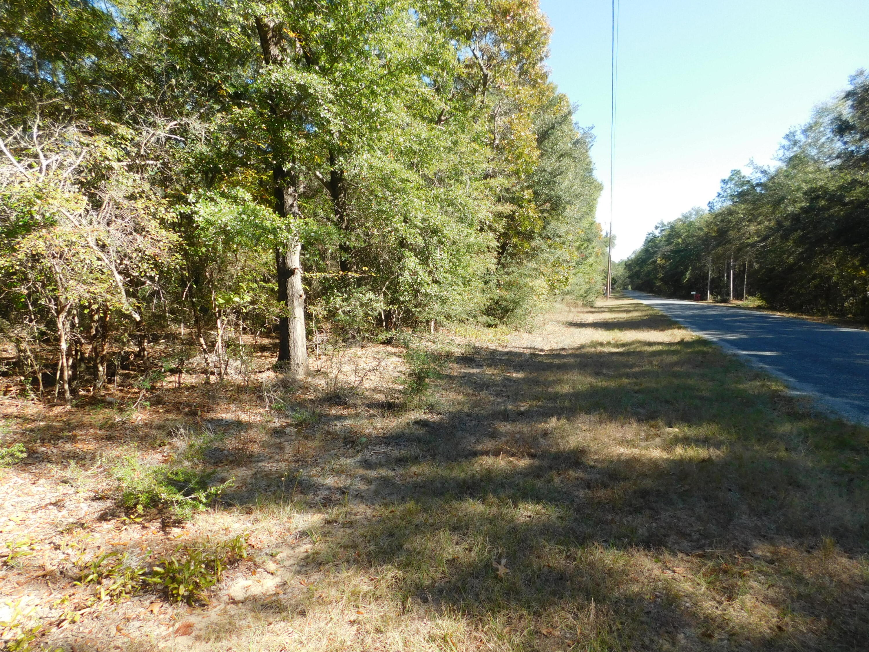 0 Batten Road Crestview, FL 32539 - Photo 3 of 12 a view of outdoor space with trees