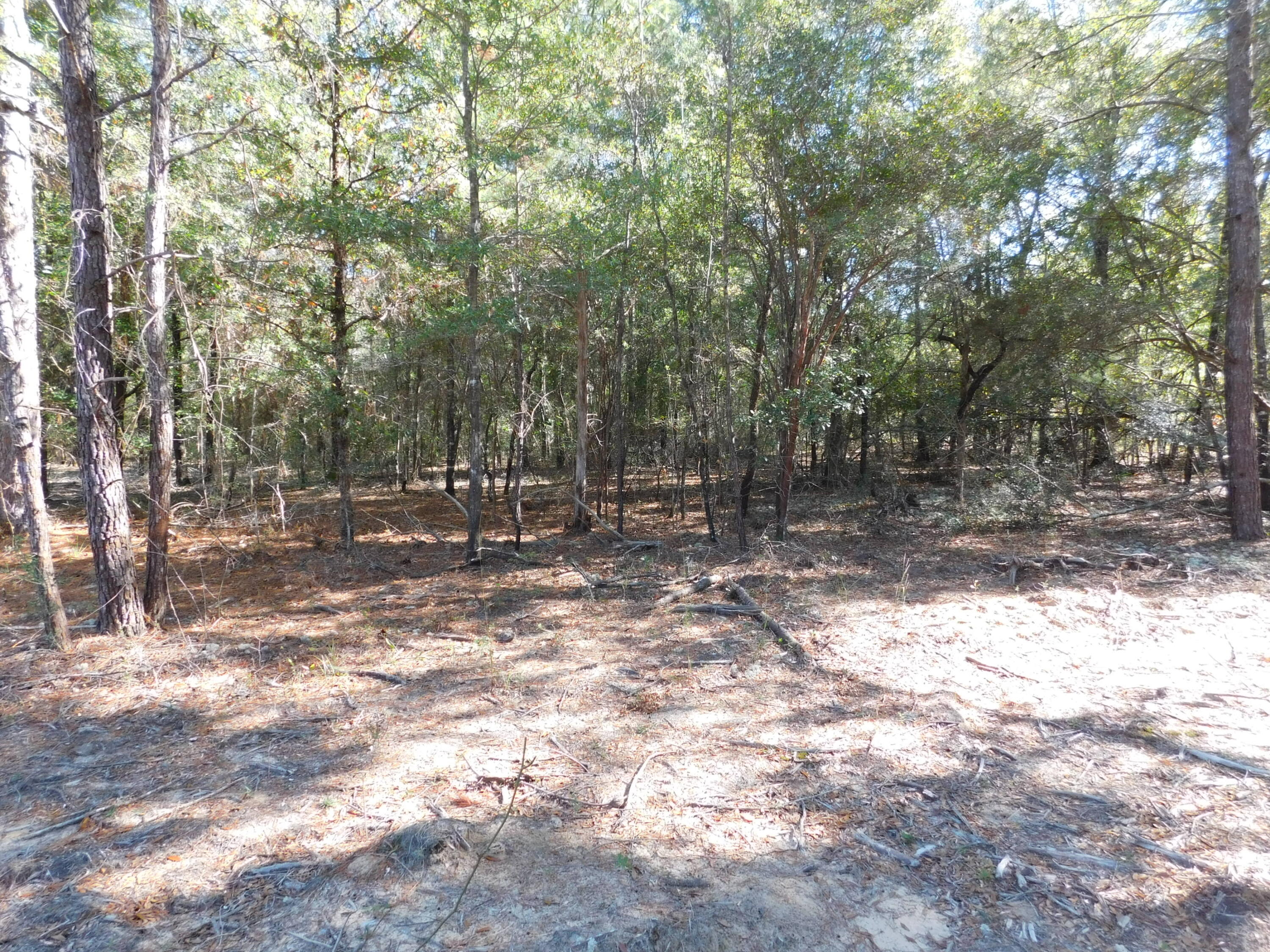 0 Batten Road Crestview, FL 32539 - Photo 7 of 12 a backyard of a house with lots of green space