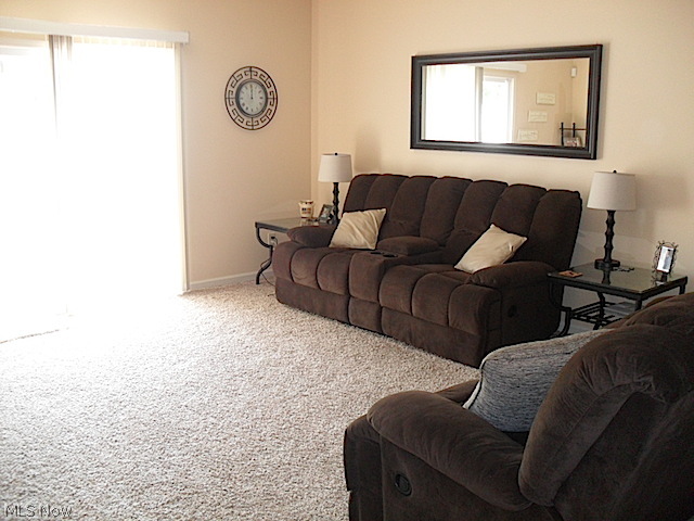 3775 Center Road Perry, OH 44081 - Photo 18 of 25