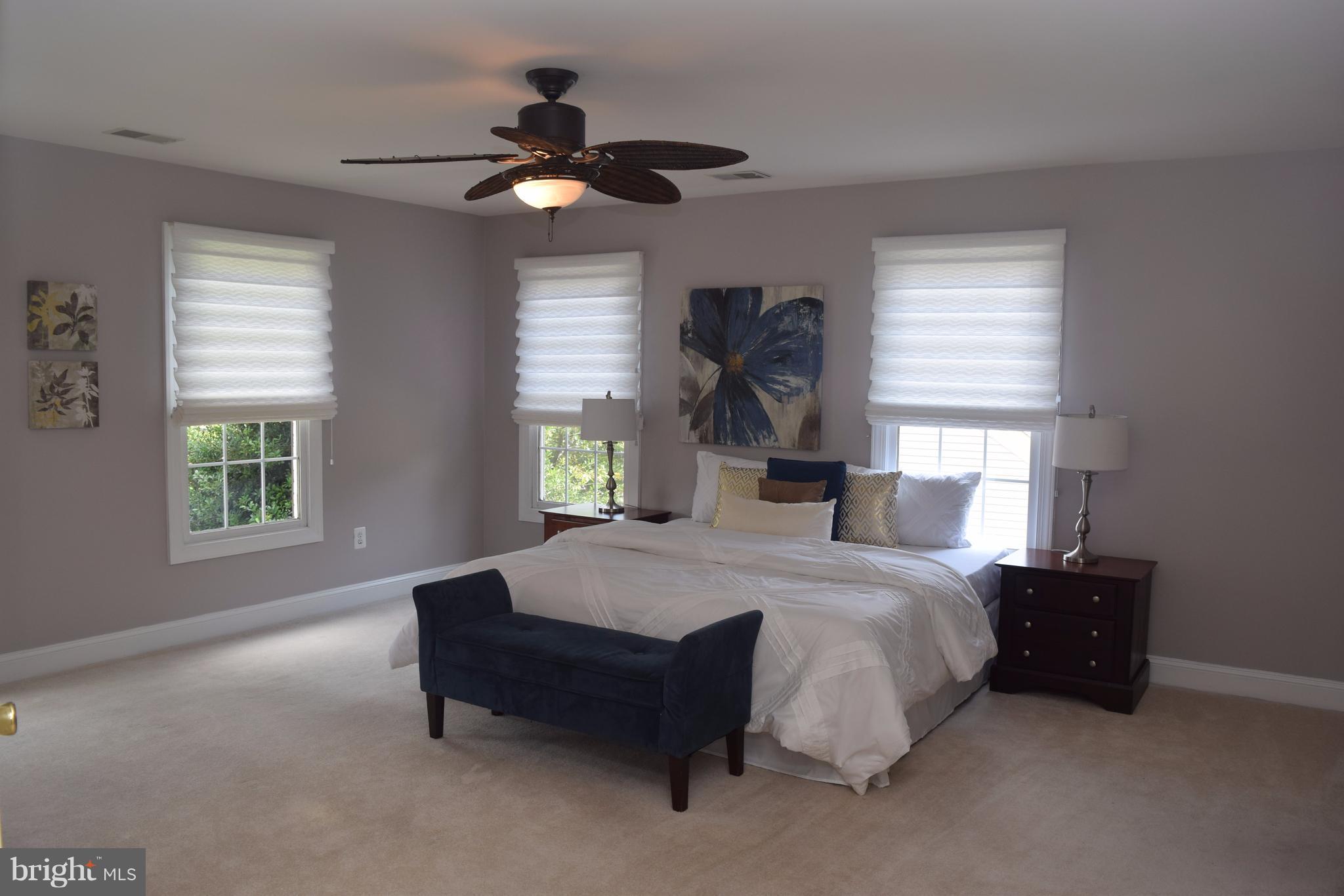 305 Flannery Lane Silver Spring, MD 20904 - Photo 19 of 30 Bedroom (Master)