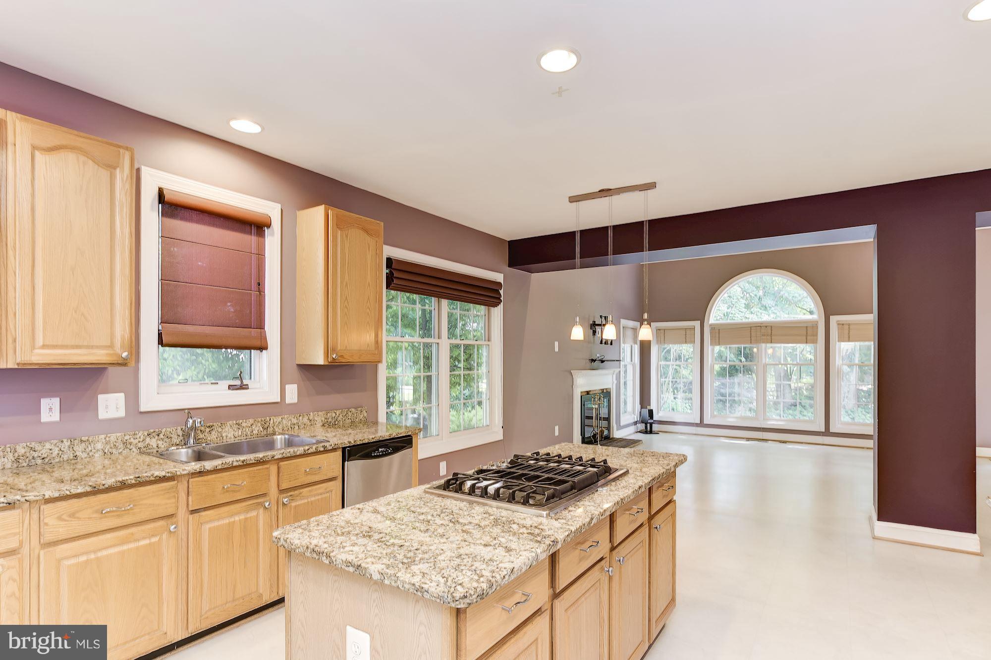 305 Flannery Lane Silver Spring, MD 20904 - Photo 10 of 30 Kitchen opens to Family Room