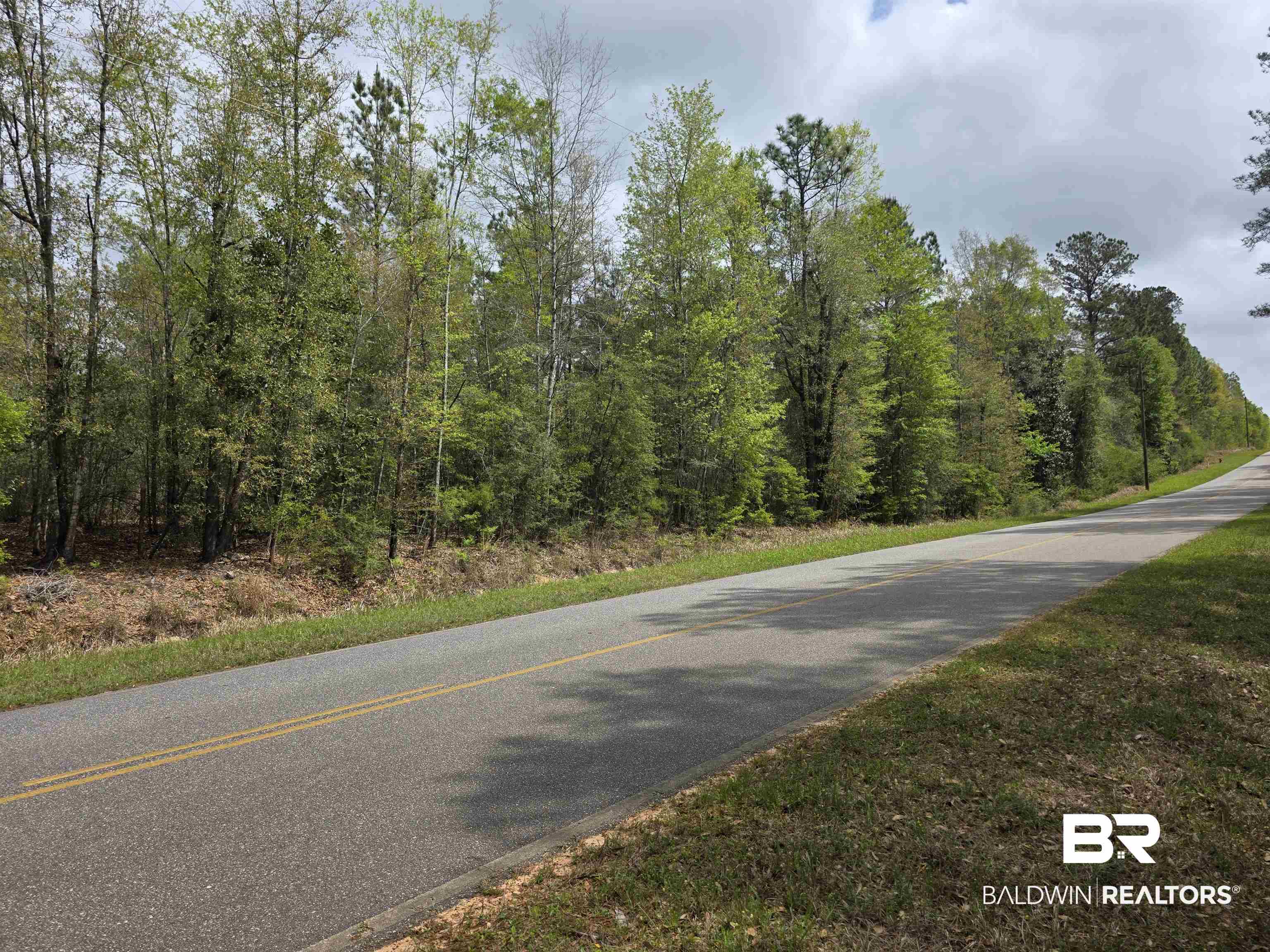 12185 Red Hill Rd Extension Bay Minette, AL 36507 - Photo 4 of 6 View of asphalt road