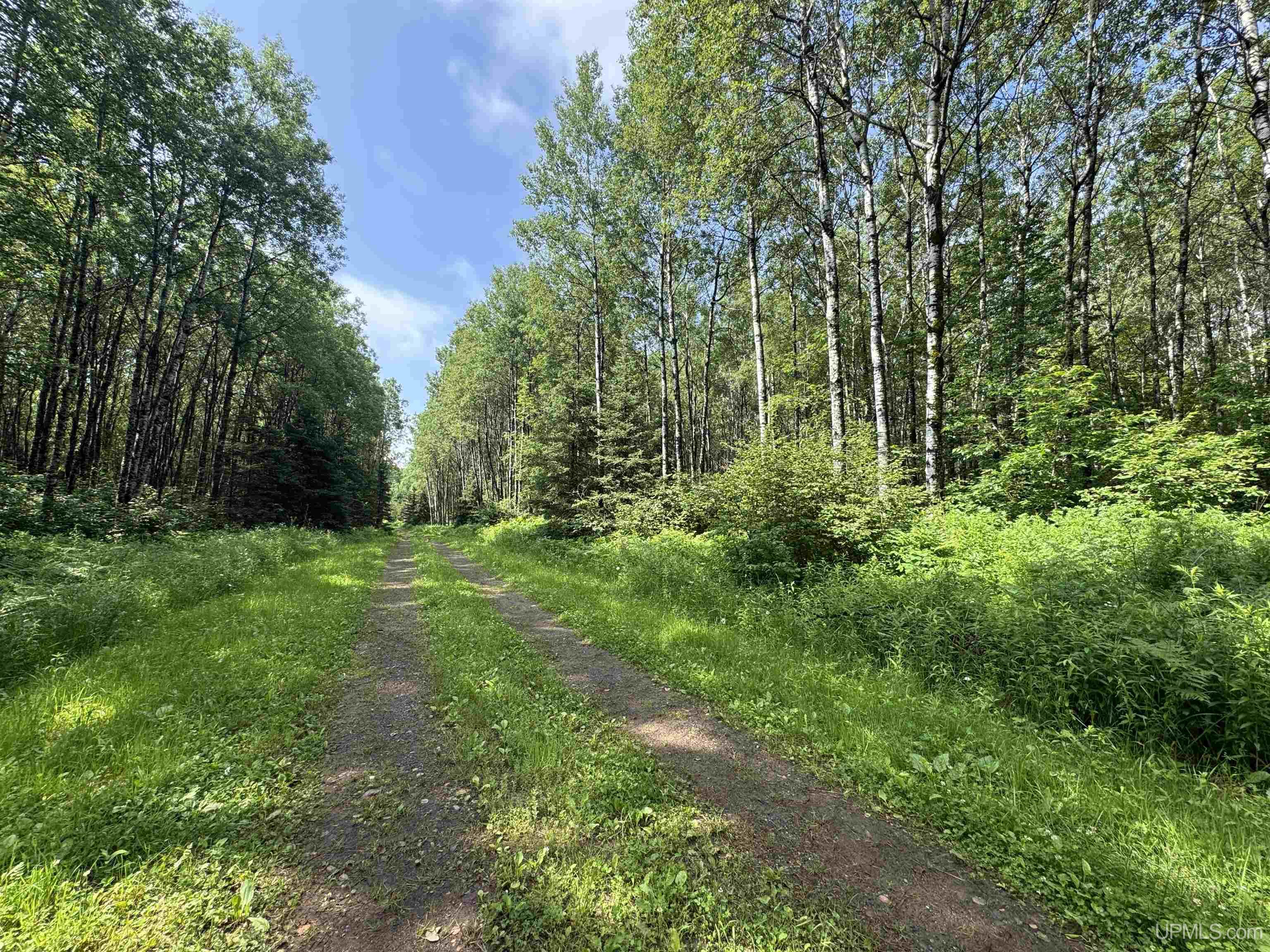 587 Parks Farm Road Iron River, MI 49935 - Photo 27 of 28