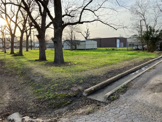 a view of a yard with large trees