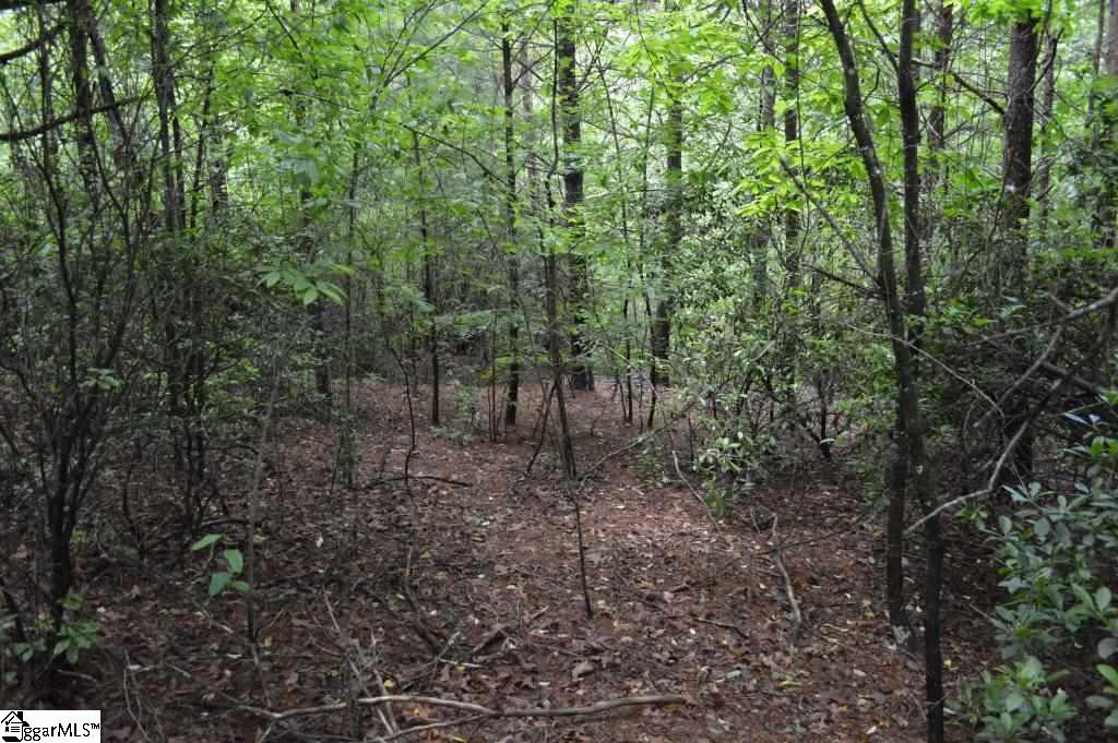 Bumsa Place Pickens, SC 29671 - Photo 13 of 13 Gallery Image 13