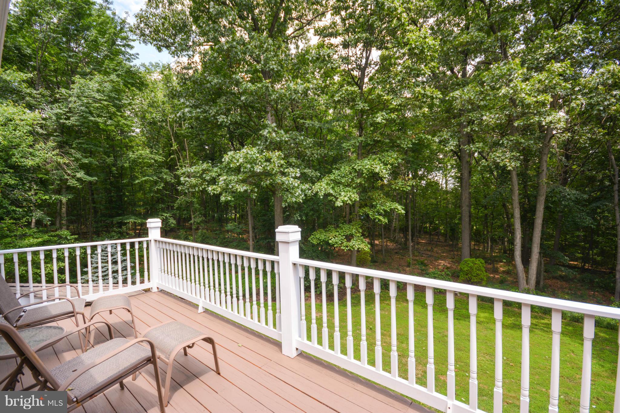 21127 Gunpowder Road Manchester, MD 21102 - Photo 17 of 30 Private Owners Suite Balcony