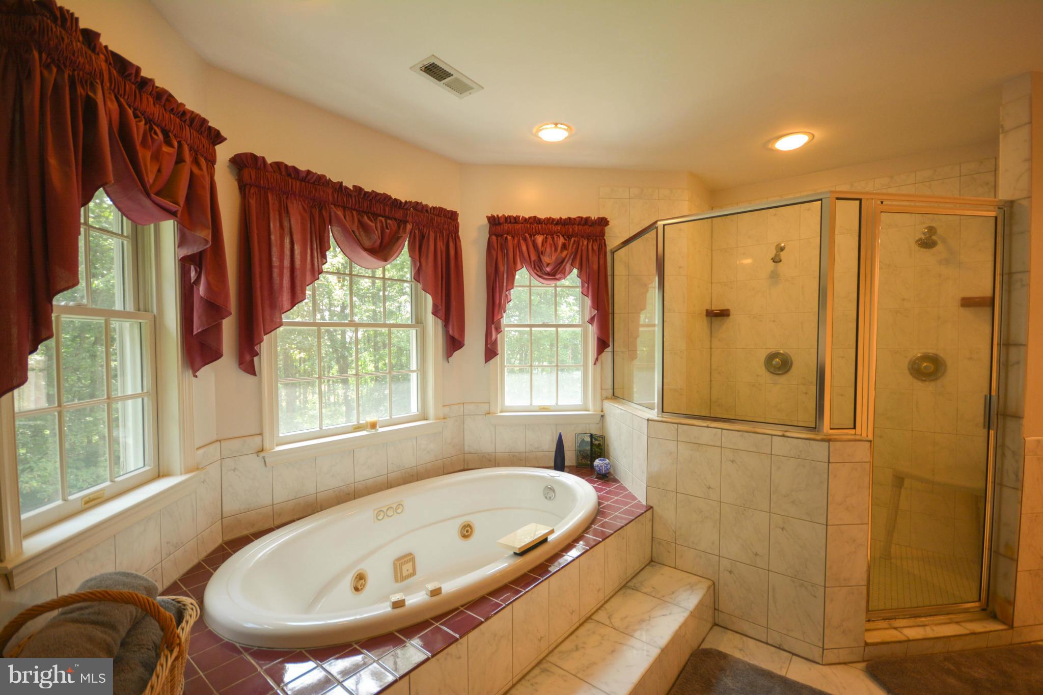 21127 Gunpowder Road Manchester, MD 21102 - Photo 19 of 30 Master Bath Tub w/Jets