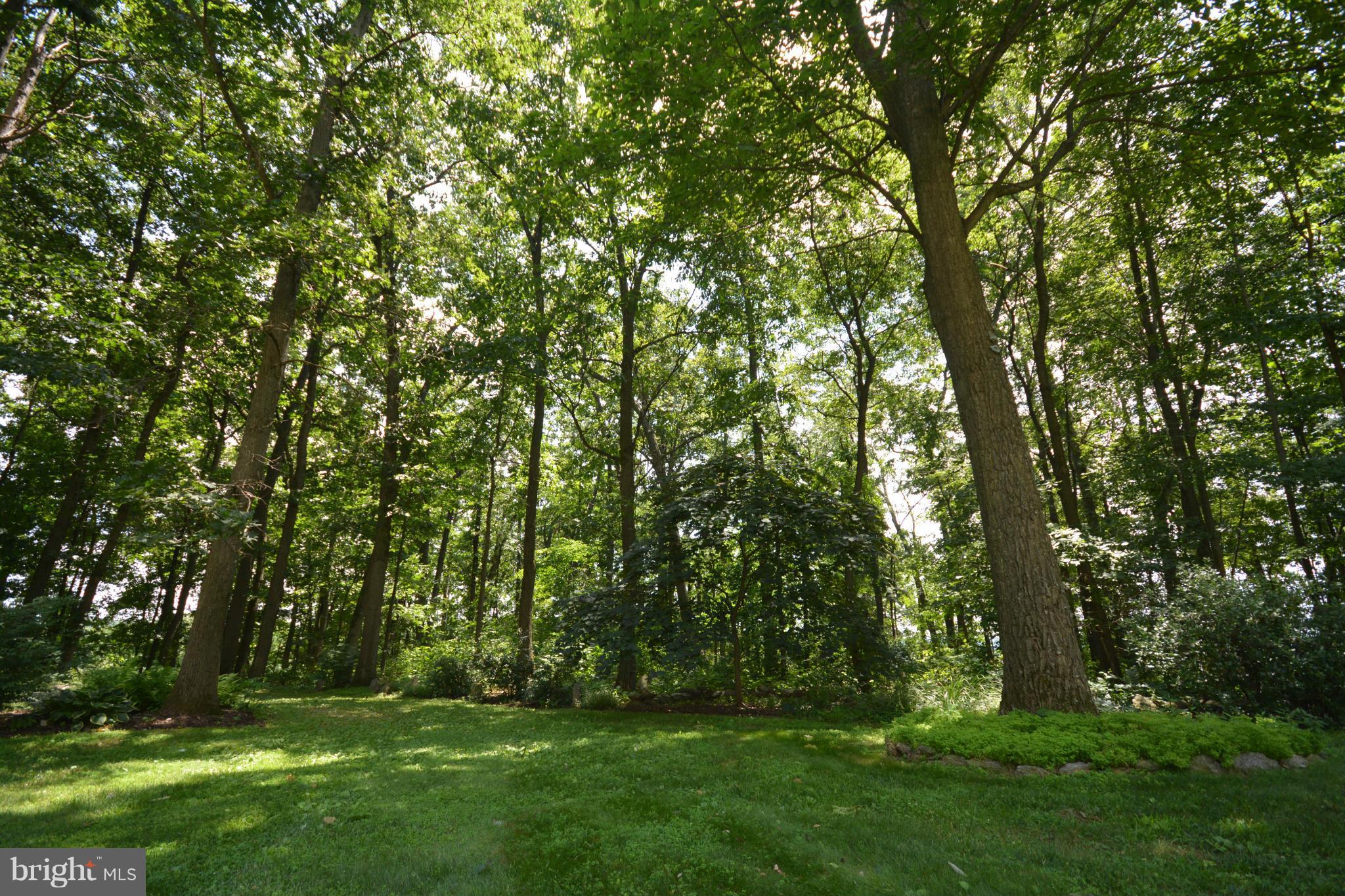 21127 Gunpowder Road Manchester, MD 21102 - Photo 28 of 30 Wooded Path to Open Field