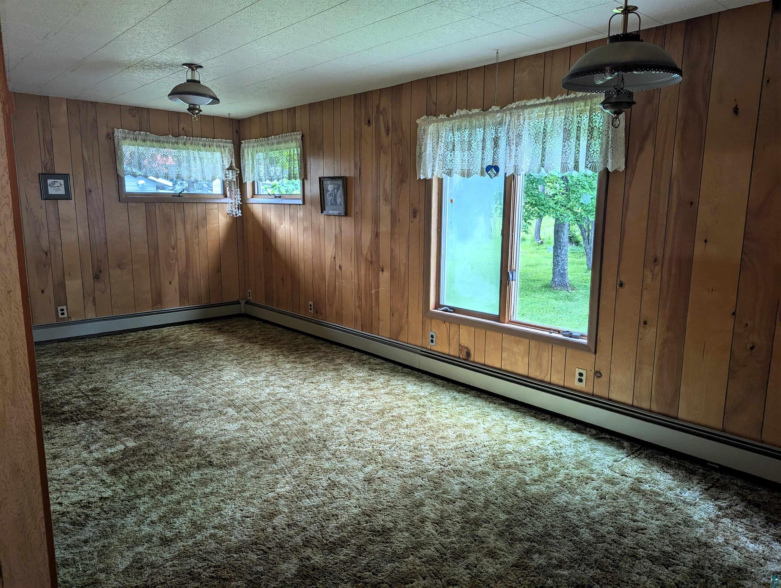 28 James Road Silver Bay, MN 55614 - Photo 29 of 37 Empty room featuring carpet flooring and wood walls