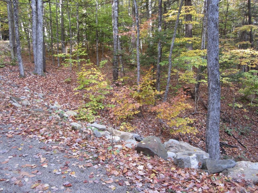 24 Pine Tree Road Litchfield, ME 04350 - Photo 18 of 35 Photo
