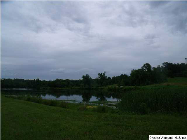 12146 Honue Trail, Unit 97 McCalla, AL 35111 - Photo 18 of 21
