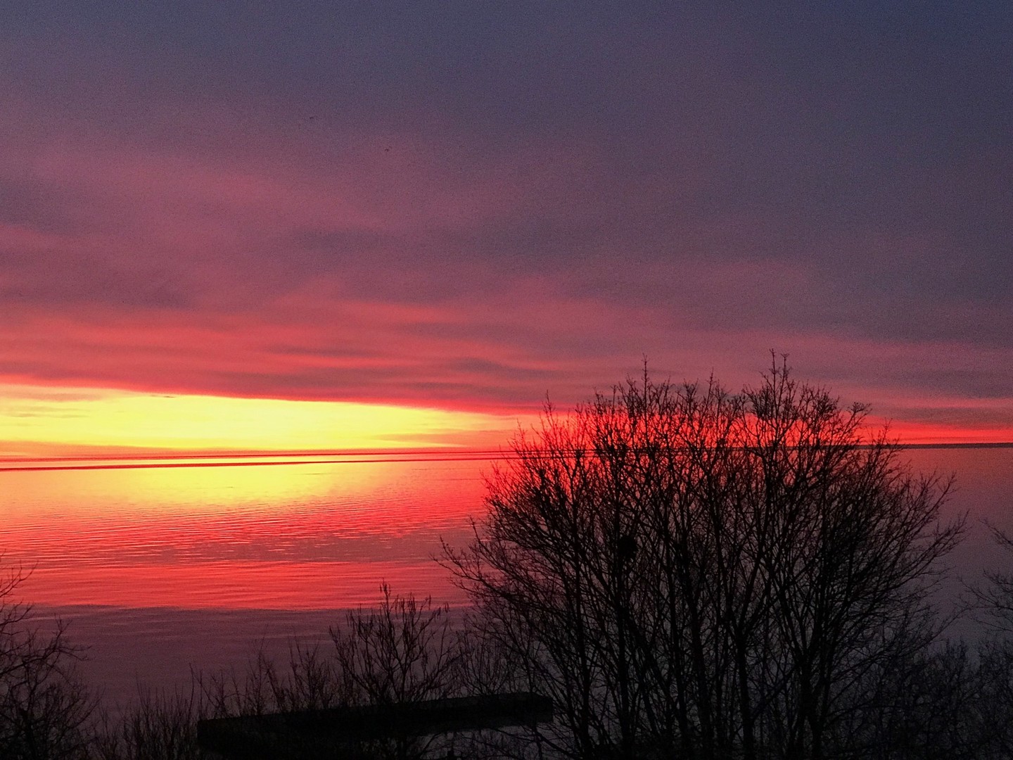 738 Tower Road Winnetka, IL 60093 - Photo 56 of 58