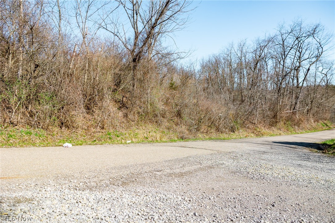 135 Township Road Adena, OH 43901 - Photo 6 of 47
