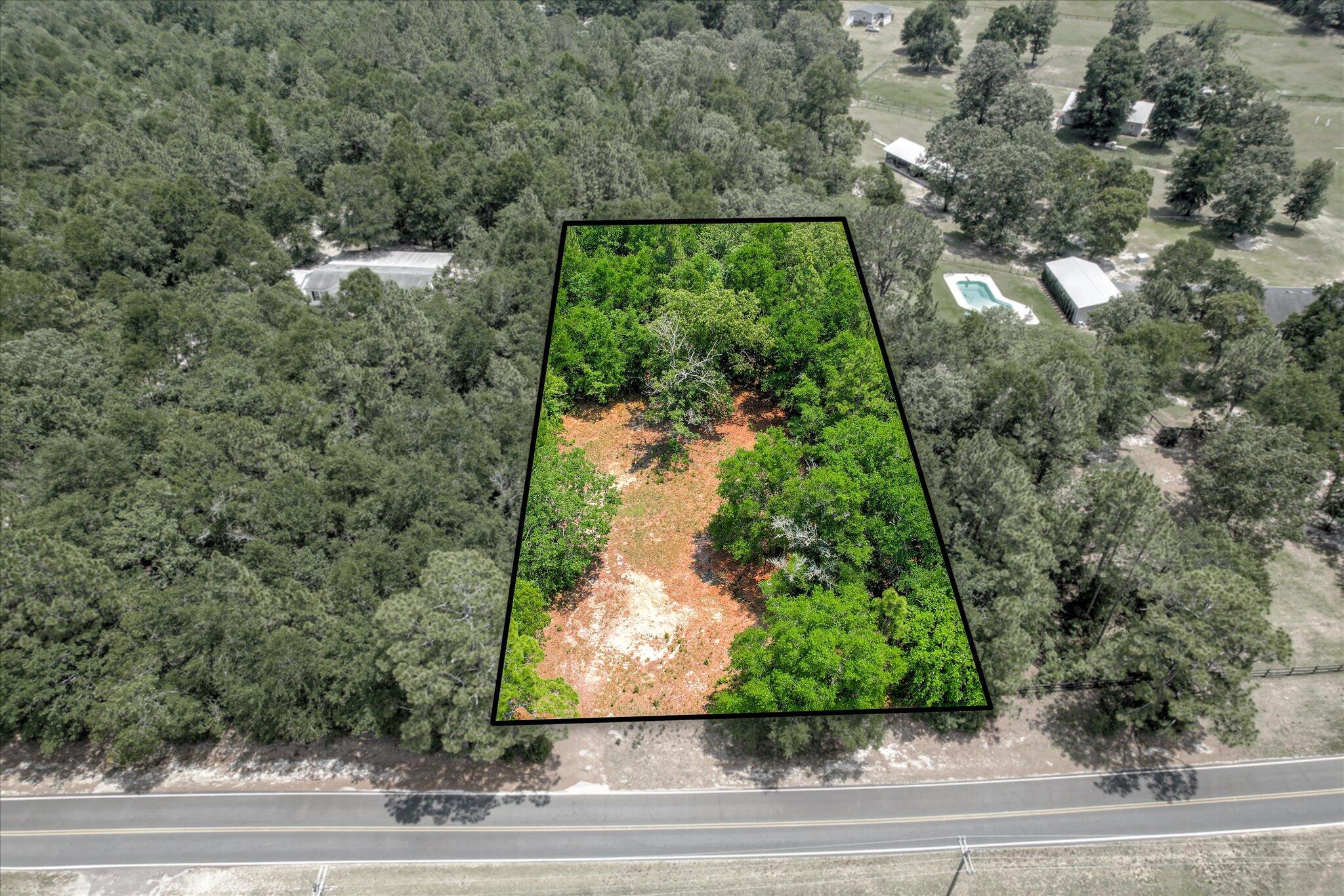 484 Holiness Church Road Wagener, SC 29164 - Photo 37 of 45 Gallery Image 37