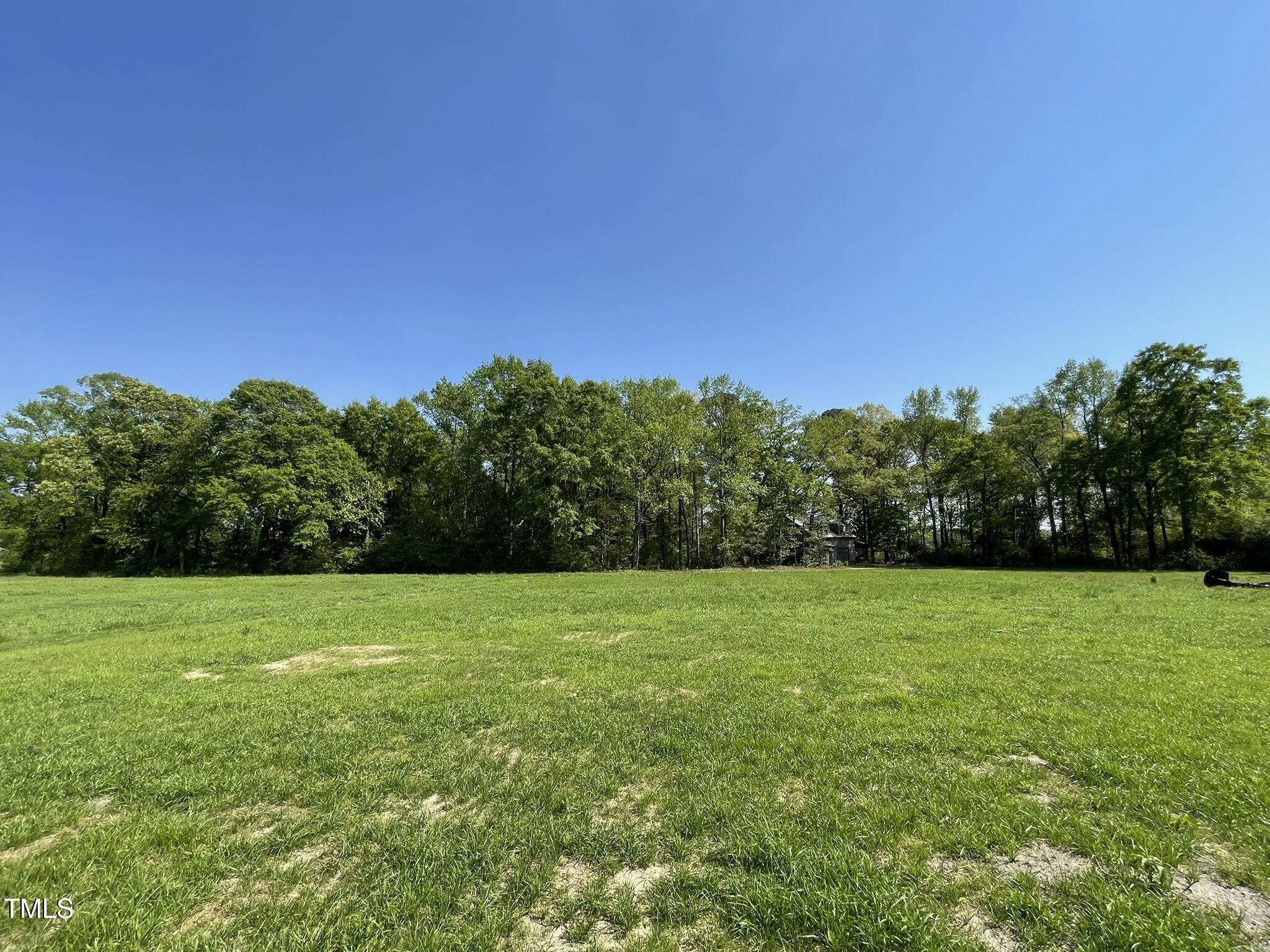 261 Phil Jack Road Dunn, NC 28334 - Photo 16 of 18 a view of a big yard with a tree