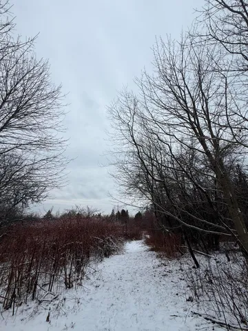 $229,000 | 6 Case Drive, Lubec, ME 04652