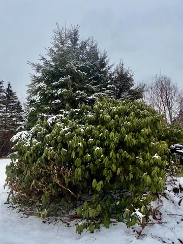 $229,000 | 6 Case Drive, Lubec, ME 04652