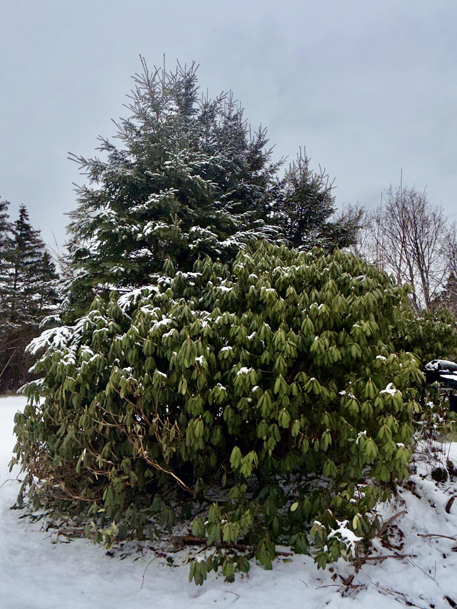 6 Case Drive Lubec, ME 04652 - Photo 6 of 16 IMG_2059