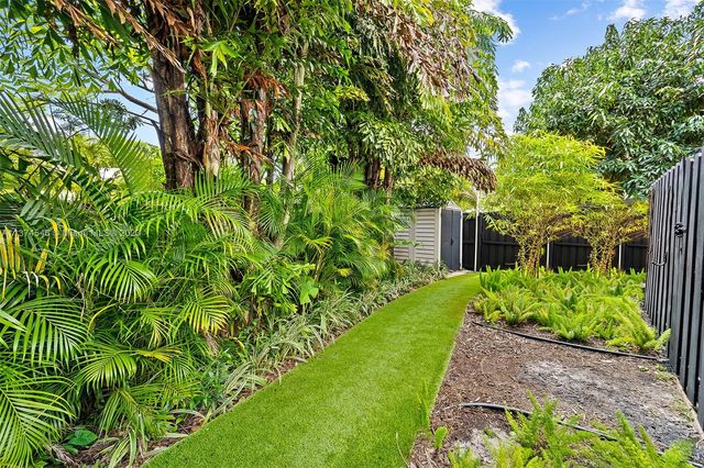 a view of a yard with plants and large trees