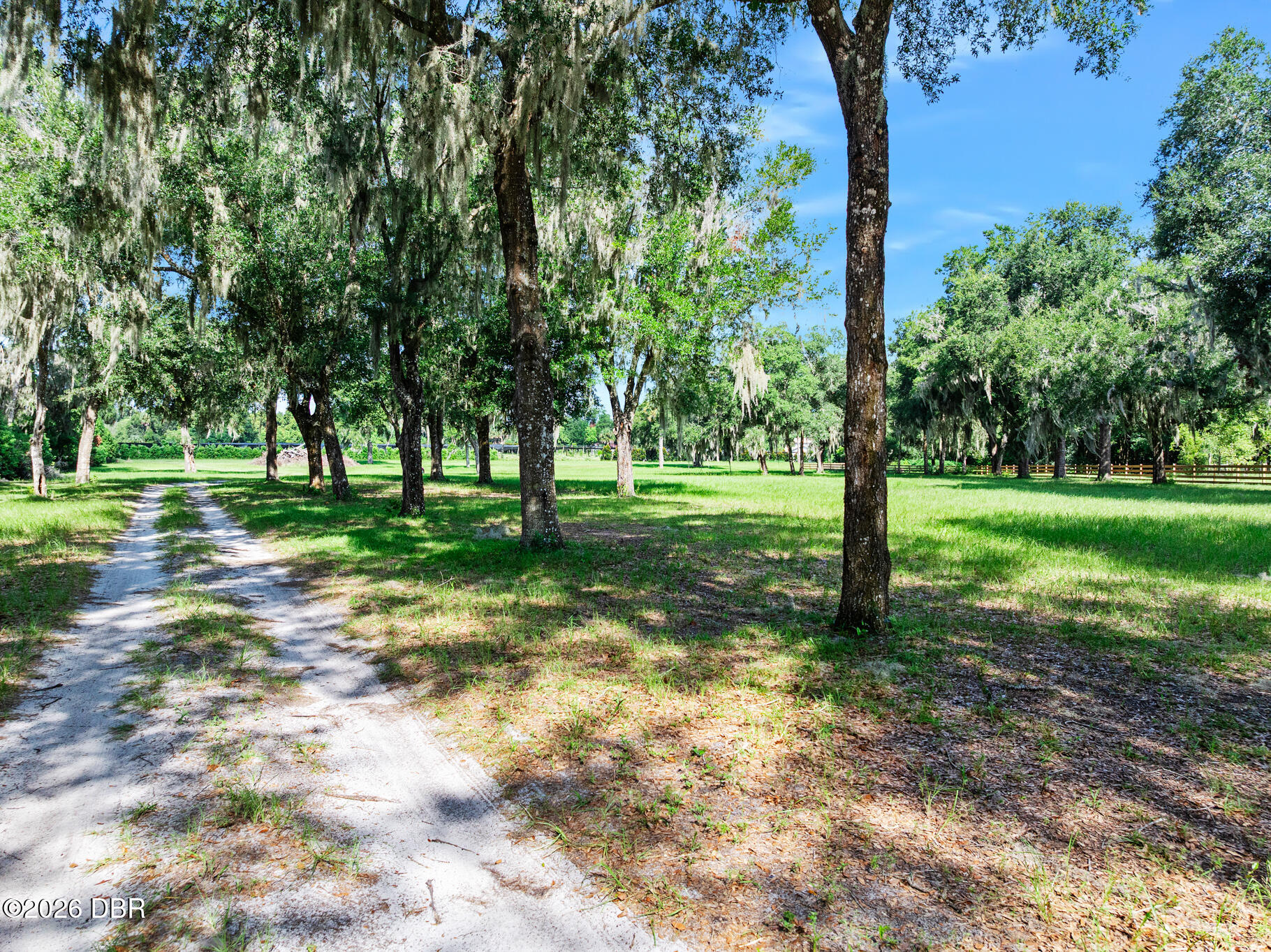 0 Blackburn Road Pierson, FL 32180 - Photo 4 of 14 AEP360-31