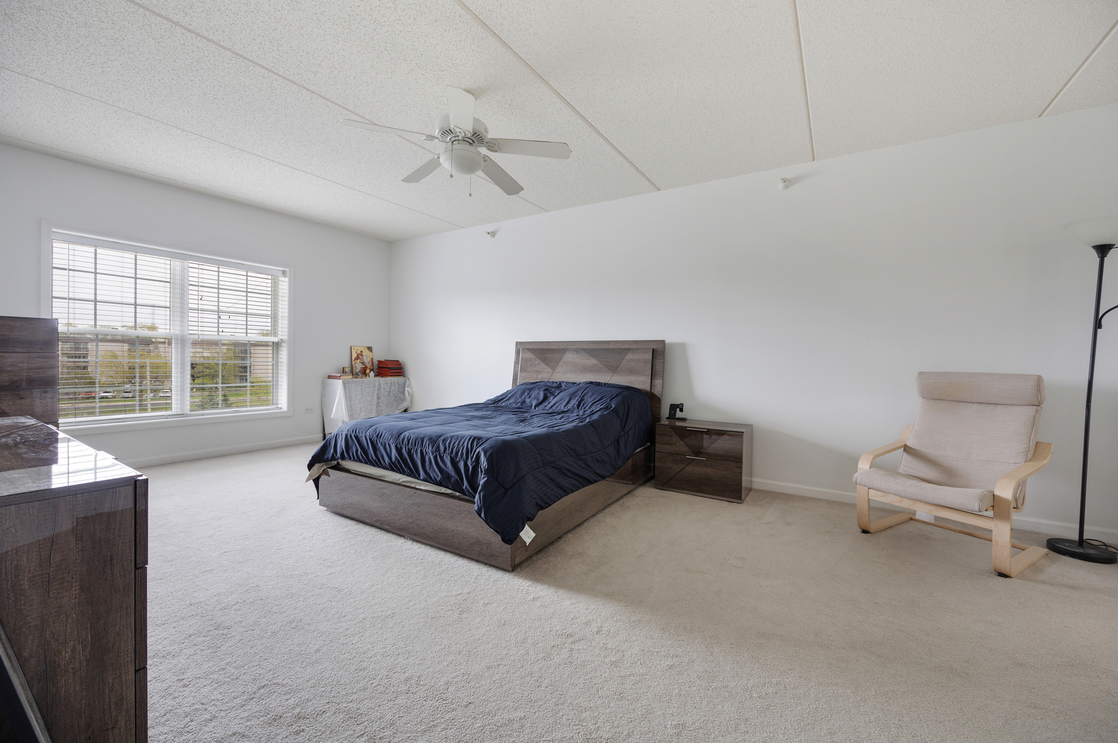 601 West Rand Road, Unit 315 Arlington Heights, IL 60004 - Photo 7 of 17