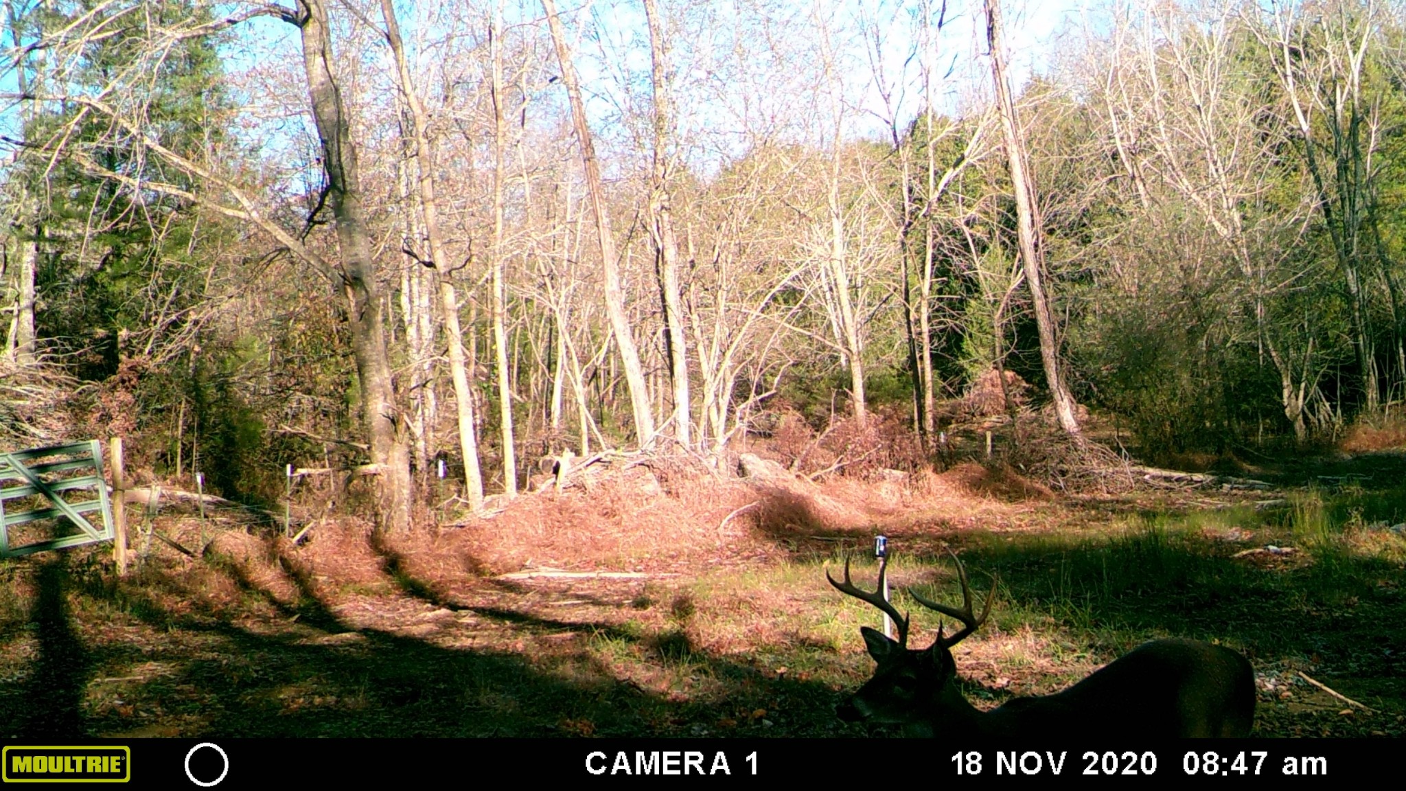 2187 Scribners Mill Road Culleoka, TN 38451 - Photo 46 of 46 Gallery Image 46