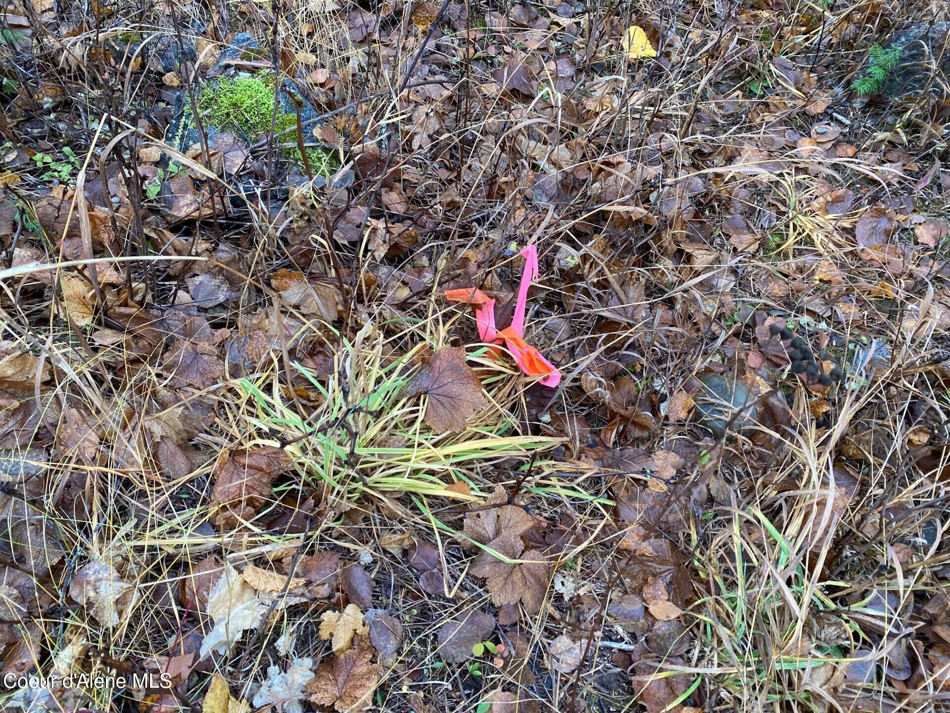 696 Raven Ridge Sandpoint, ID 83864 - Photo 11 of 62 corner