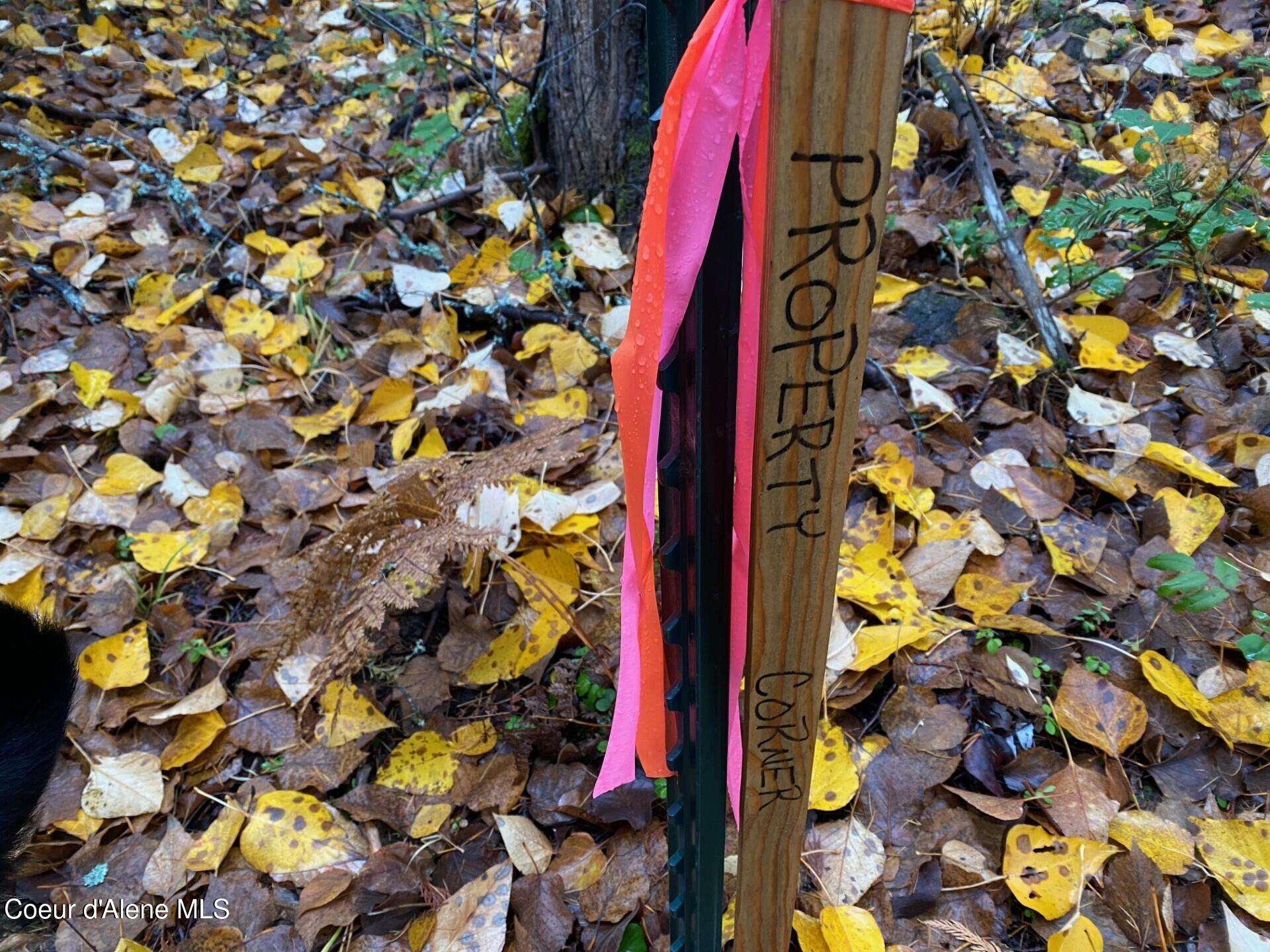 696 Raven Ridge Sandpoint, ID 83864 - Photo 13 of 62 corner2