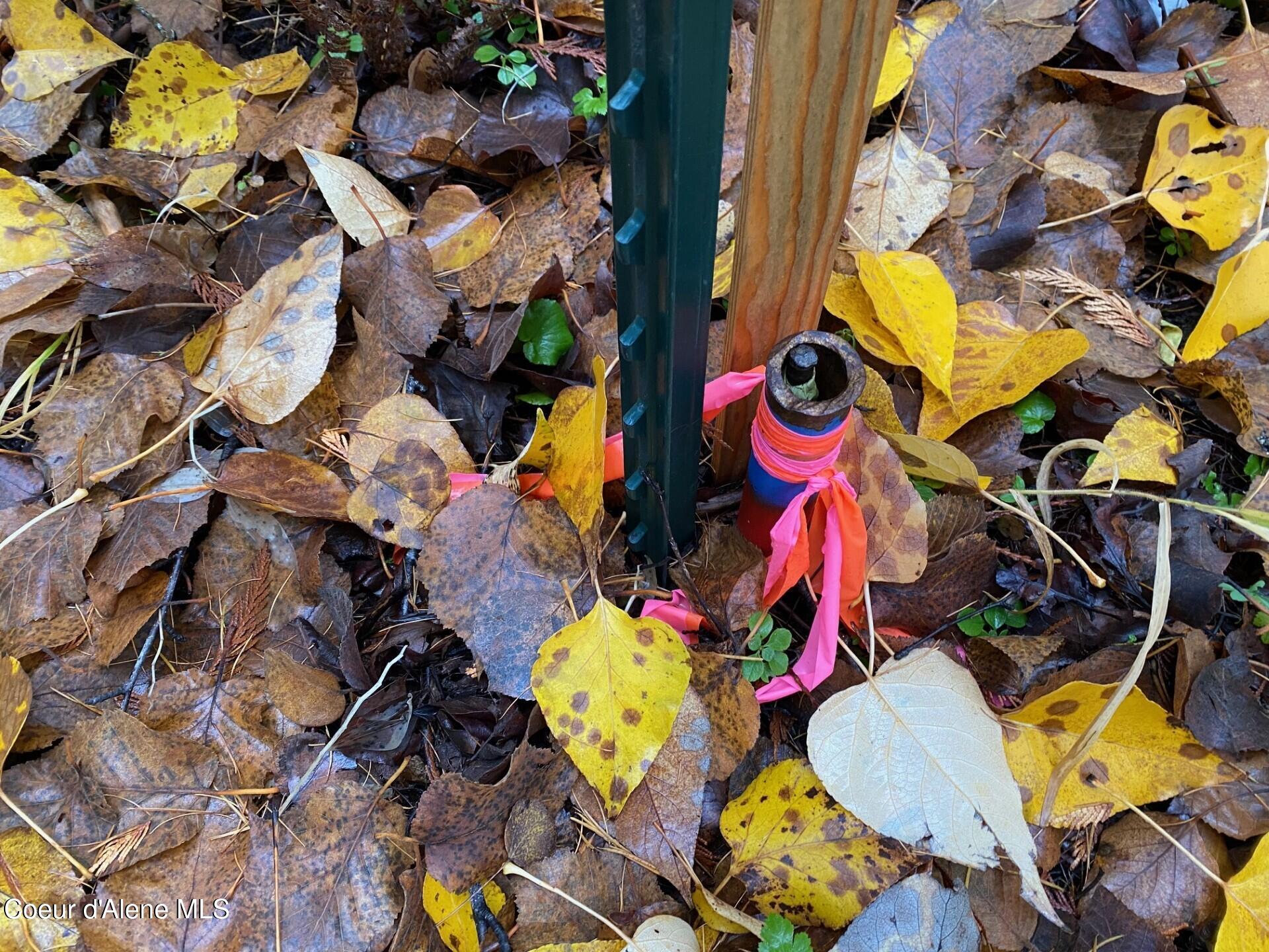 696 Raven Ridge Sandpoint, ID 83864 - Photo 14 of 62 corner3