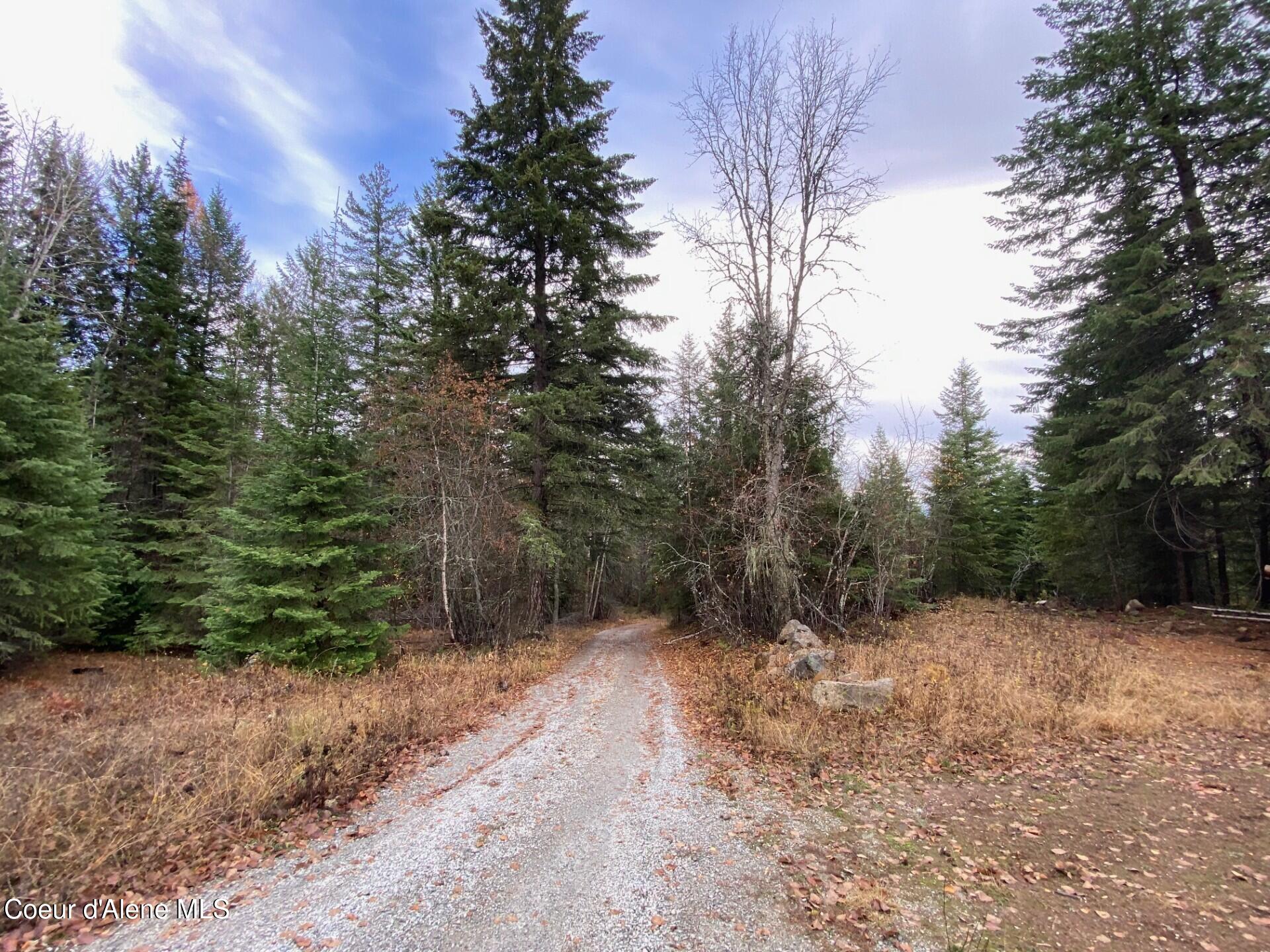 696 Raven Ridge Sandpoint, ID 83864 - Photo 16 of 62 drive2