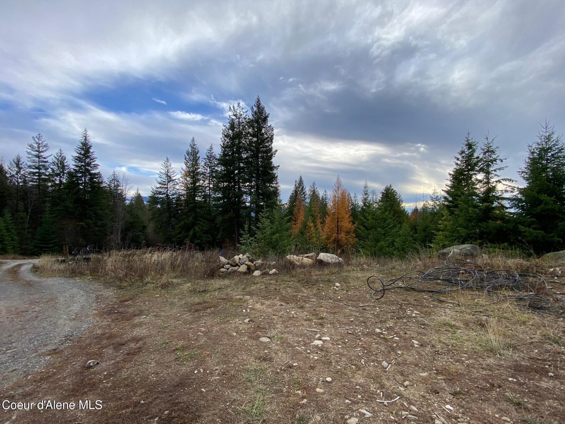 696 Raven Ridge Sandpoint, ID 83864 - Photo 17 of 62 driveway