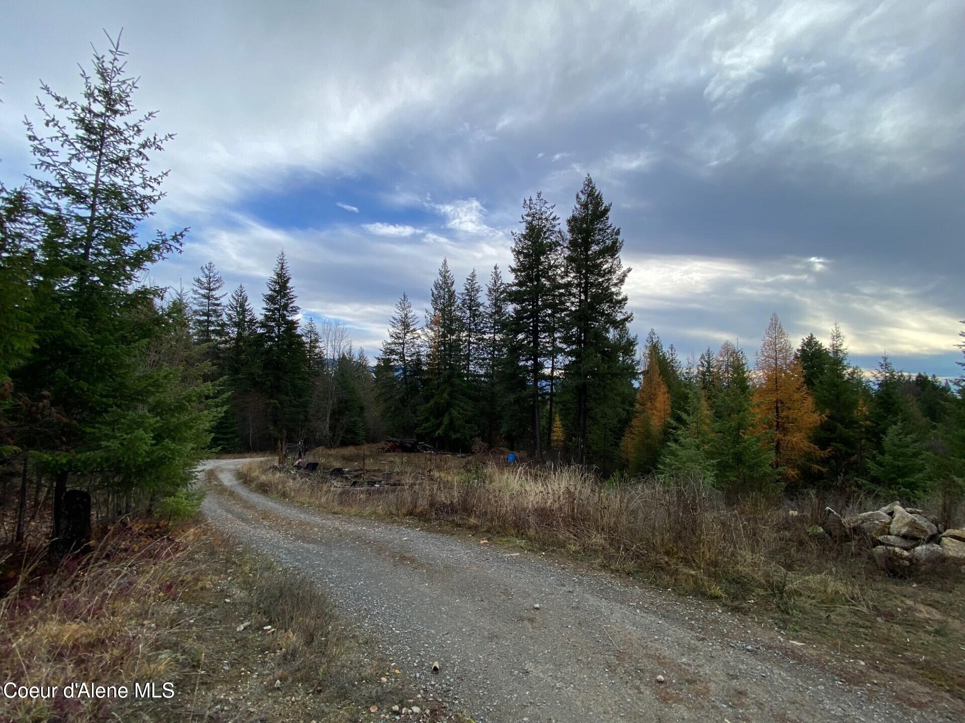 696 Raven Ridge Sandpoint, ID 83864 - Photo 18 of 62 driveway2