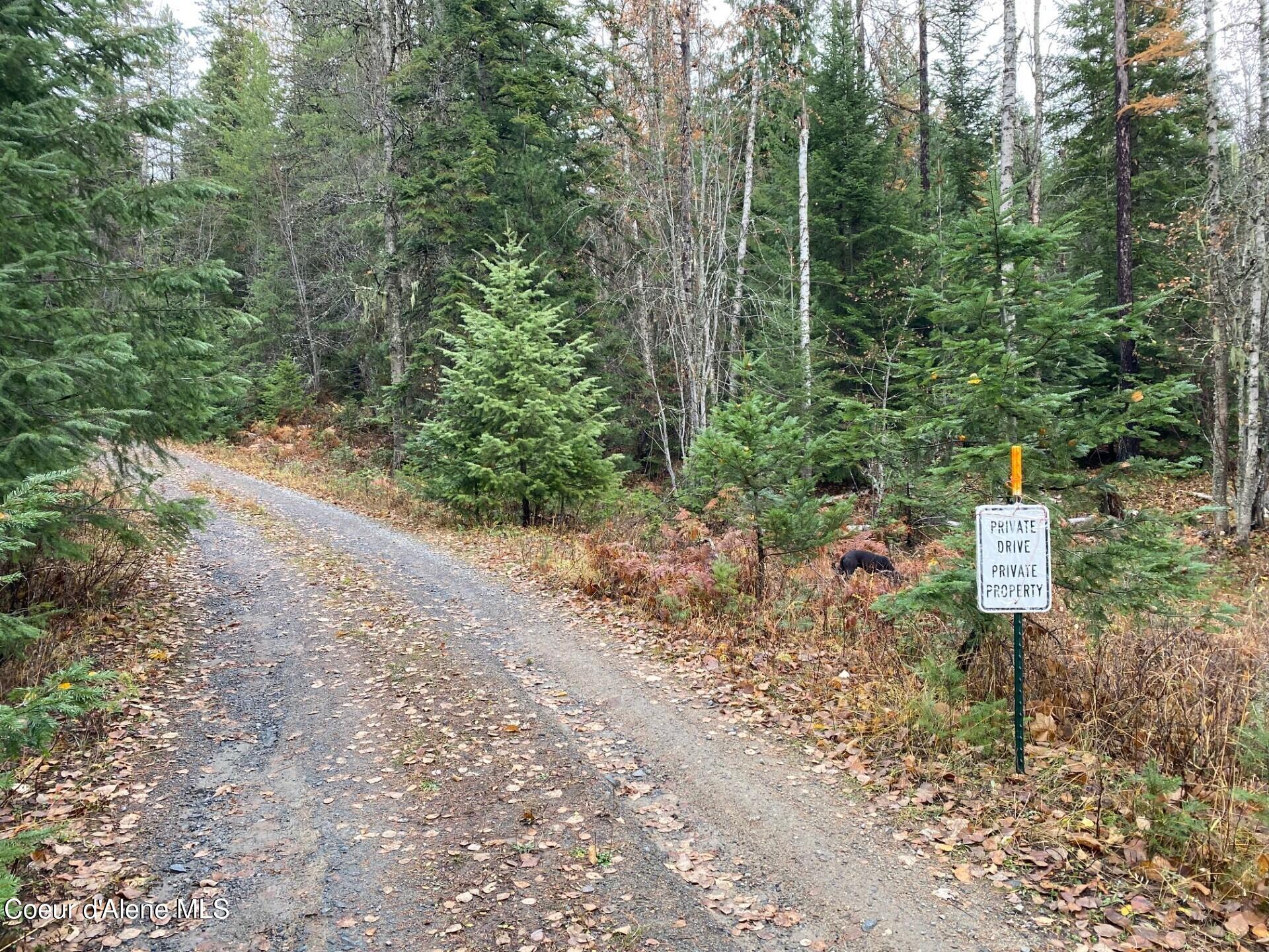 696 Raven Ridge Sandpoint, ID 83864 - Photo 20 of 62 entrance