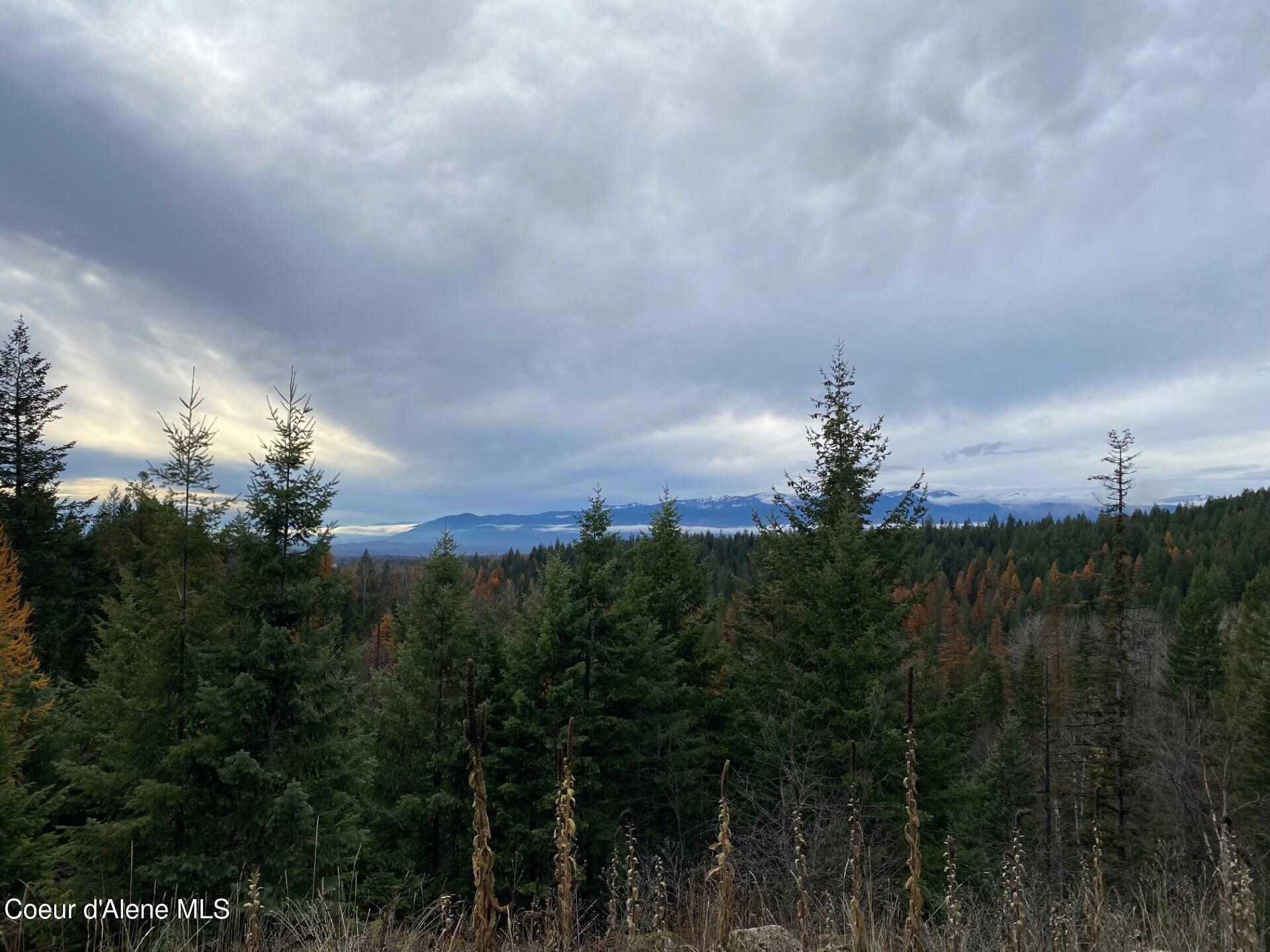 696 Raven Ridge Sandpoint, ID 83864 - Photo 38 of 62 schweitzer3