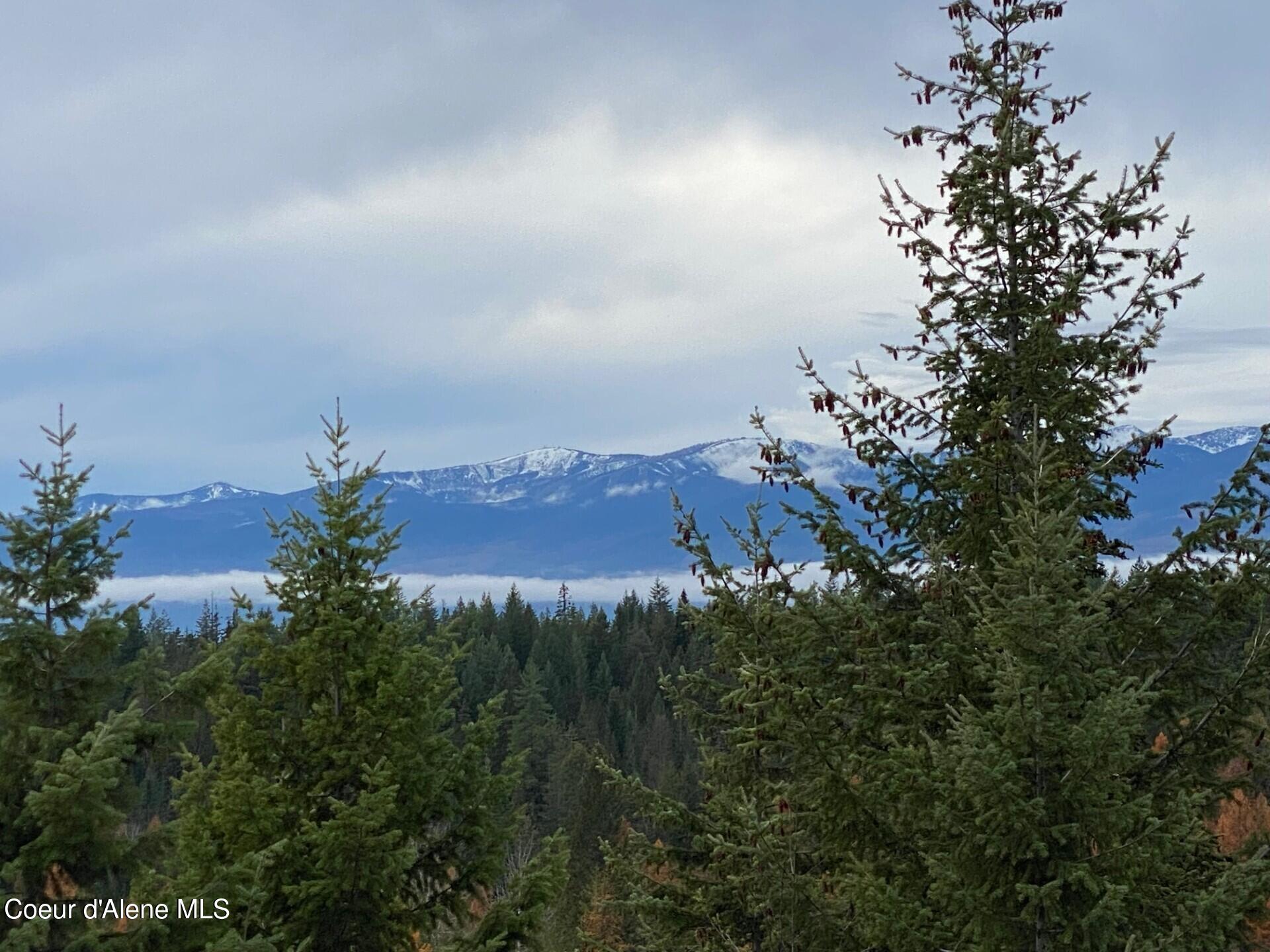 696 Raven Ridge Sandpoint, ID 83864 - Photo 39 of 62 schweitzer4