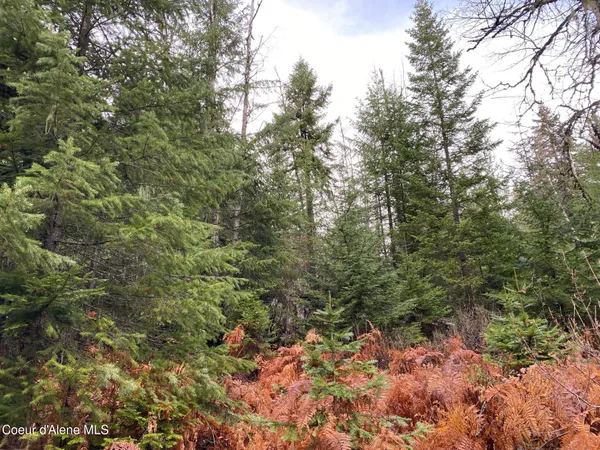 $475,000 | 696 Raven Ridge, Sandpoint, ID 83864