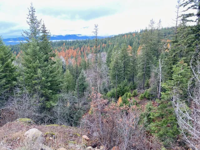 $475,000 | 696 Raven Ridge, Sandpoint, ID 83864