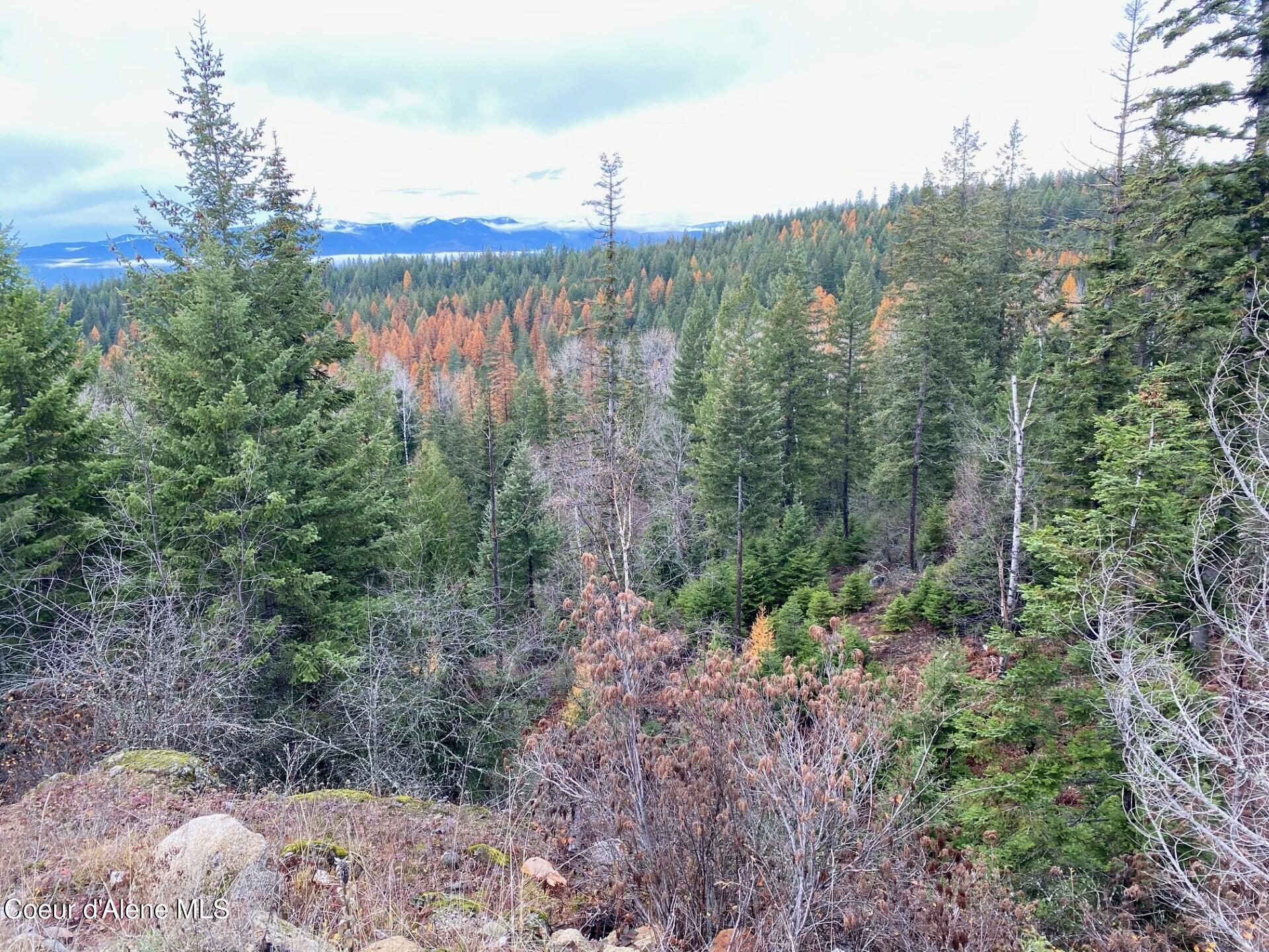 696 Raven Ridge Sandpoint, ID 83864 - Photo 51 of 62 view2