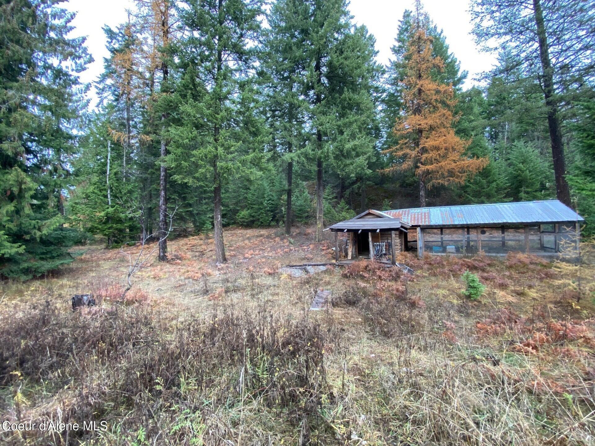 696 Raven Ridge Sandpoint, ID 83864 - Photo 6 of 62 coop3