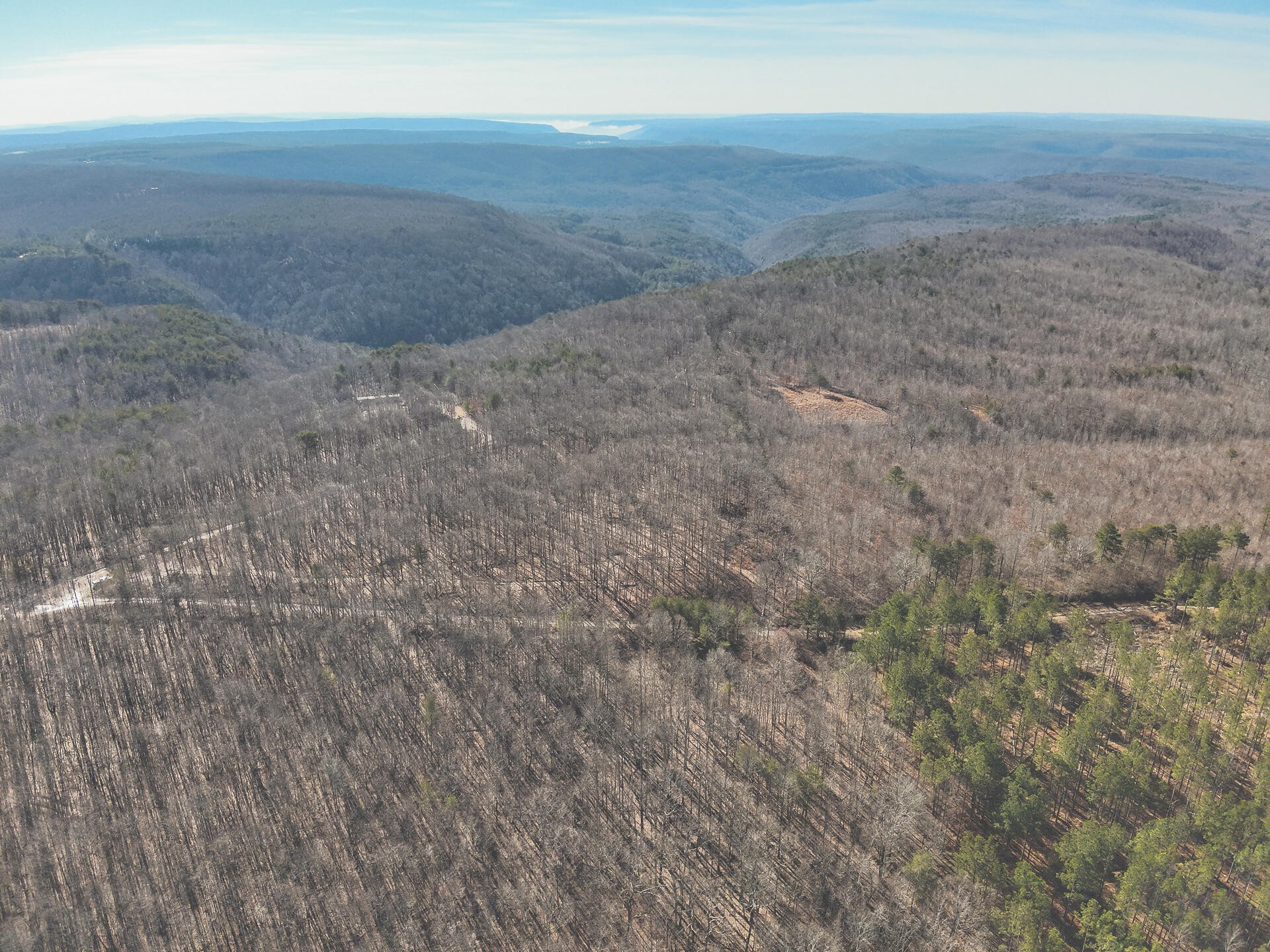 0 Palmer Firetower Road Whitwell, TN 37397 - Photo 44 of 49 Gallery Image 44
