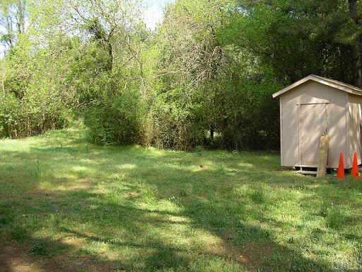 1908 Evergreen Avenue Raleigh, NC 27603 - Photo 3 of 3 Lots of space in this open back yard with storage shed. House backs up to land protected by a park, so no new development!